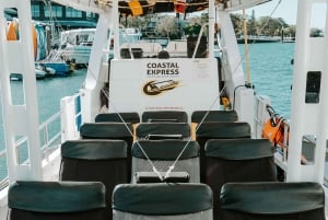 ムールーラバ：アドベンチャー ラフティング タートル ツアー