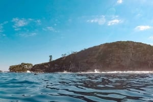 Mooloolaba: Snorkelen met schildpadden Mudjimba Island
