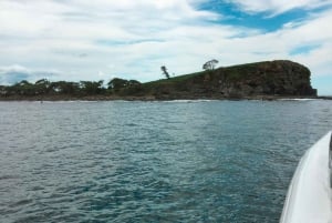 Mooloolaba: Schnorcheln mit Schildkröten Mudjimba Island