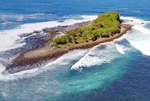 Mooloolaba: Snorkling med skilpaddene på Mudjimba Island