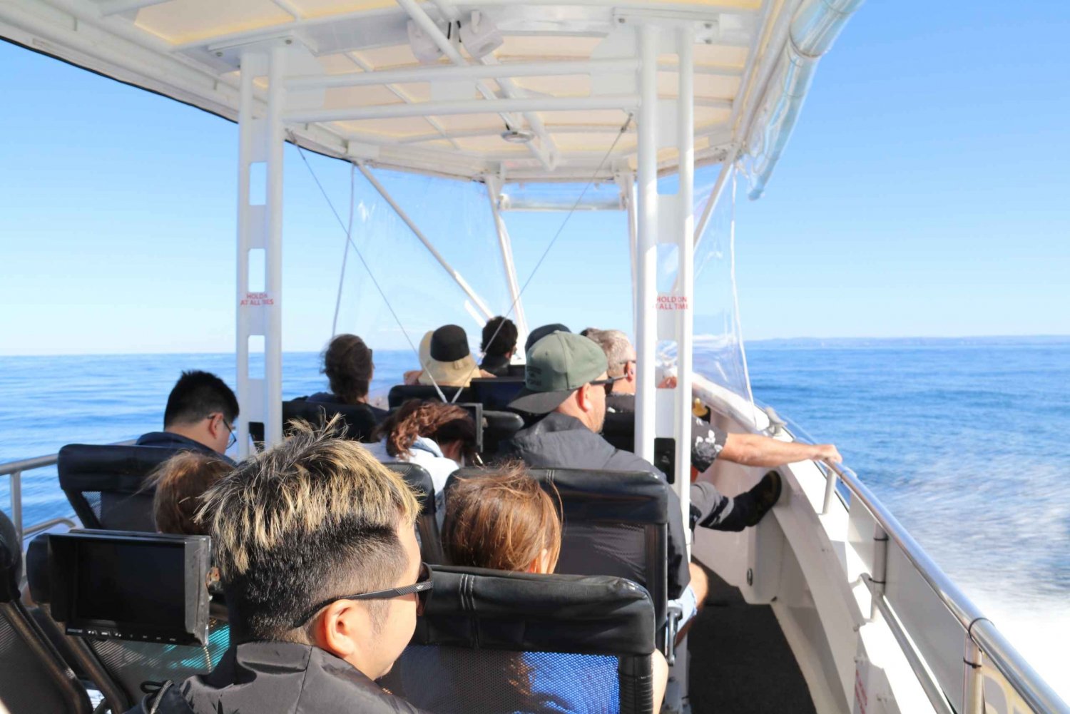 Mooloolaba: Turtle Watching Boat Tour