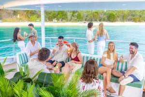 Moreton Island: Premium Tangalooma Snorkel & Dolphin Tour