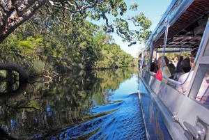 Noosa: Afternoon Cruise through the Noosa Everglades