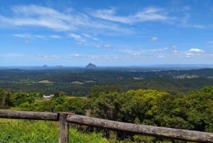 From Brisbane: Day Trip to Noosa and Glass House Mountains