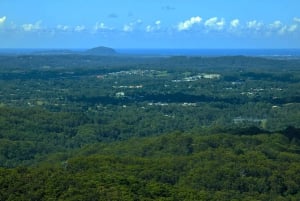 From Brisbane: Day Trip to Noosa, Glass House Mtns and Zoo