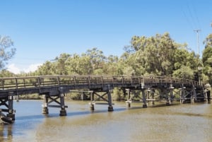 Noosa: E-Bike Tour from Mt Tinbeerwah to Noosa