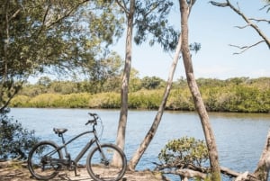 Noosa: E-Bike Tour from Mt Tinbeerwah to Noosa