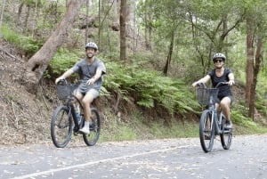 Noosa: E-Bike Tour from Mt Tinbeerwah to Noosa