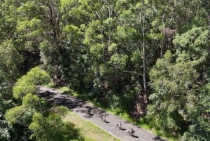 Noosa: E-Bike Tour from Mt Tinbeerwah to Noosa