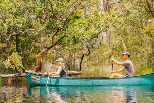 Noosa: Everglades Explorer Cruise with Optional Canoeing