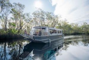 Noosa: Everglades Explorer-cruise med kanopadling (valgfritt)