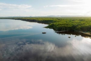 Noosa: Everglades Explorer Cruise with Optional Canoeing