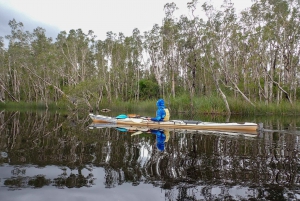Everglades de Noosa: Tour autoguiado verdaderamente sostenible