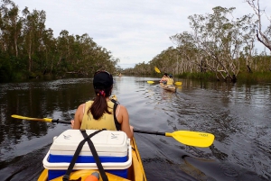 Everglades de Noosa: Tour guiado por você mesmo, verdadeiramente sustentável