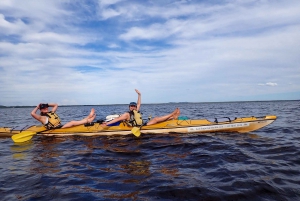 Everglades de Noosa: Tour autoguiado verdaderamente sostenible