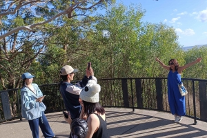 Tour privado por Noosa Heads y los Mercados de Eumundi desde Brisbane