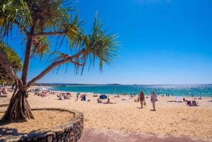 Excursión VIP Privada a Noosa Heads y los Mercados de Eumundi desde Brisbane