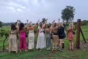 Noosa Heads: Tour de degustação de vinhos e gim local com almoço