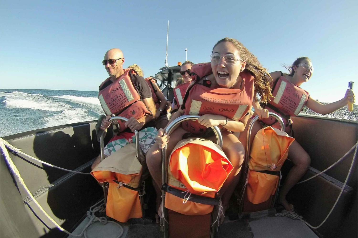Noosa Heads: Ocean Adventure & Dolphin Safari