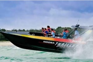 Noosa Heads: Ocean Adventure & Marine Life Boat Ride