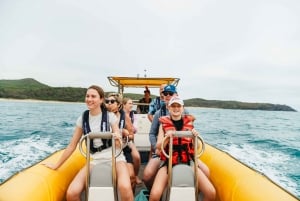 Noosa Heads : Ocean Rider Dolphin Safari