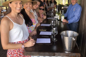 Noosa Heads: Local Gin and Wine Tasting Tour with Lunch