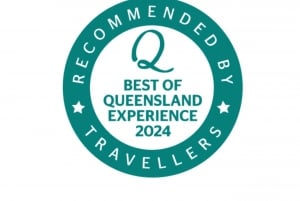 Noosa: Noosa Whale Watching tour