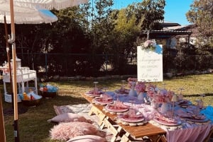 Noosa - Luxurious pop up picnic at Noosa Botanic gardens