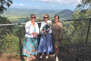 Noosa: Maleny & Montville Tour with Lunch & Wine Tasting