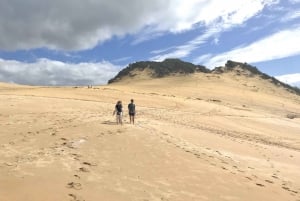 Noosa: Rainbow Beach Tour via Noosa Hinterland och Cooloola