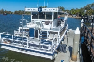 Noosa River Cruise with Seafood Lunch and Commentary