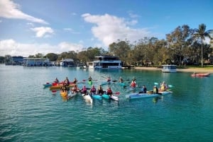 Noosa River: Mangroven und Herrenhäuser Geführte Kajaktour