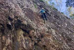 Noosa: Rock Climbing Mt Tinbeerwah