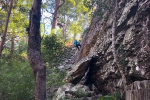 Noosa: Escalada em rocha no Monte Tinbeerwah