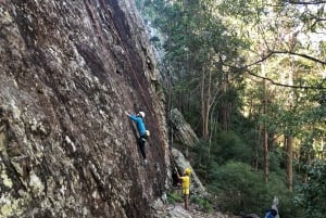 Noosa: Rock Climbing Mt Tinbeerwah