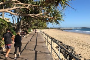 Sunshine Coast and Noosa Private Tour Experience Inc. Lunch