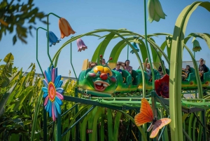 Sunshine Coast : billet d'entrée au parc à thème Aussie World