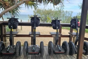 Sunshine Coast: Coastal Segway Tour (Afternoon)