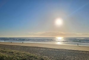 Sunshine Coast: Coastal Segway Tour (Afternoon)