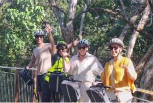 Sunshine Coast: Coastal Segway Tour (Afternoon)