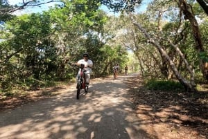 Sunshine Coast: Easy Peasy Novotel North E-Bike Tour