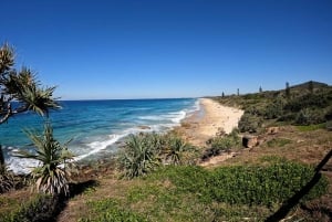 Sunshine Coast: Easy Peasy Novotel North E-Bike Tour