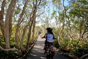 Sunshine Coast: Easy Peasy Novotel North E-Bike Tour