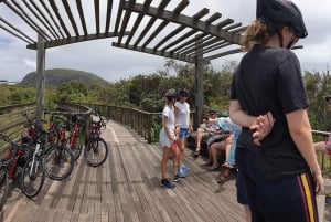 Sunshine Coast: Easy Peasy Novotel North E-Bike Tour