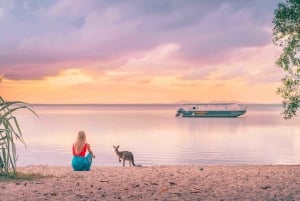 Sunshine Coast : Eumundi et les Everglades de Noosa avec croisière fluviale