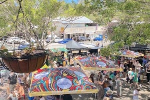 Sunshine Coast : Eumundi et les Everglades de Noosa avec croisière fluviale