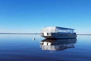 Sunshine Coast : Eumundi et les Everglades de Noosa avec croisière fluviale