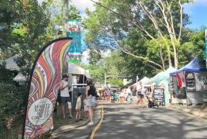Sunshine Coast : Eumundi et les Everglades de Noosa avec croisière fluviale