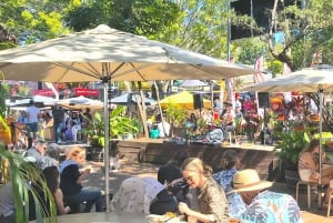 Sunshine Coast : Eumundi et les Everglades de Noosa avec croisière fluviale