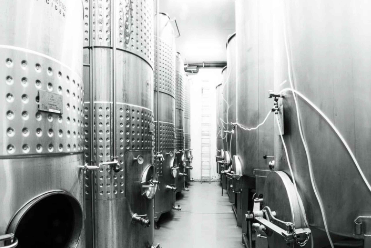 Sunshine Coast: Explore the Art of Cider & Champagne Making